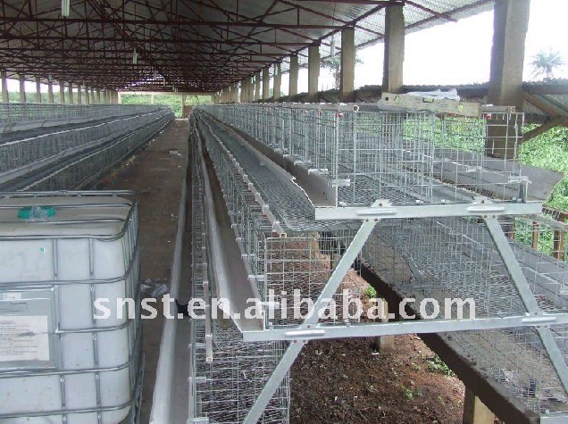 Layer Poultry Cage ST-390ALC