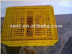 Plastic Transport Cage